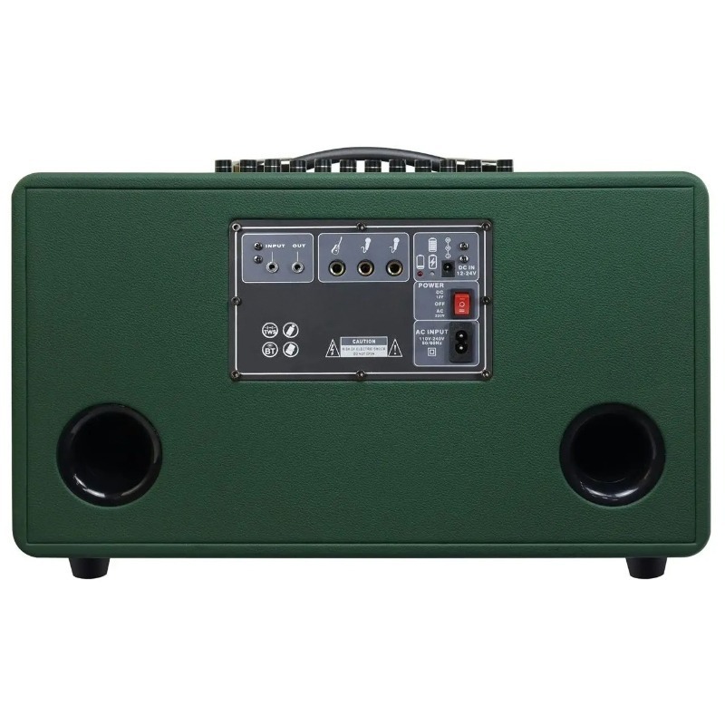 Karaoke Speaker System 100W Rgb - Professional 8-Inch HIFI Bass Wooden Karaoke