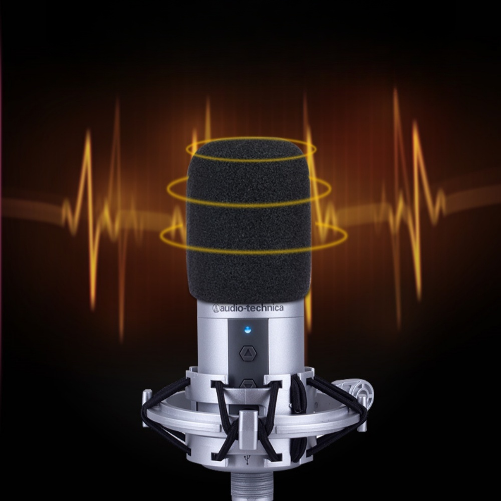 2PCS AT2020 Microphone Windscr - Microphone Pop Filter Foam Windscreen 评论和价格
