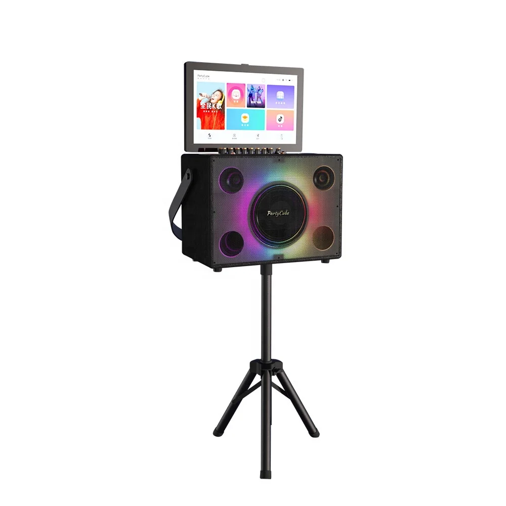 Entertainment Portable Karaoke - Karaoke Machine Portable With 2 Mic 评论和价格