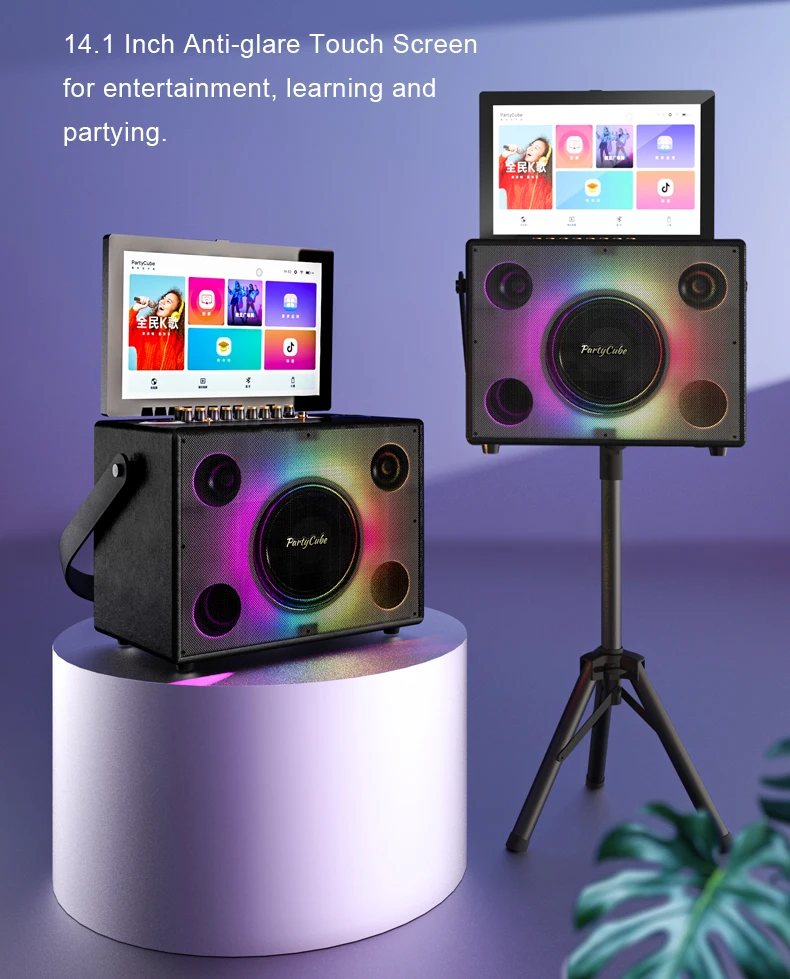 Entertainment Portable Karaoke - Karaoke Machine Portable With 2 Mic 评论和价格
