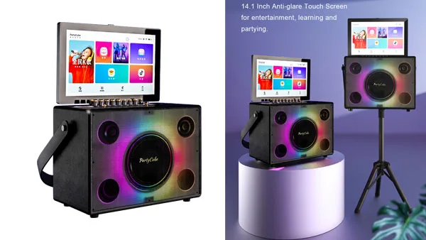 Entertainment Portable Karaoke - Karaoke Machine Portable With 2 Mic 评论和价格