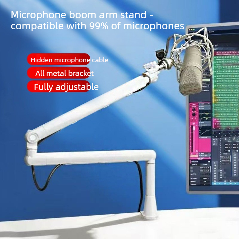 Boom Arm Microphone Stand Desk - Microphone Stand Boom Arm Floor 评论和价格
