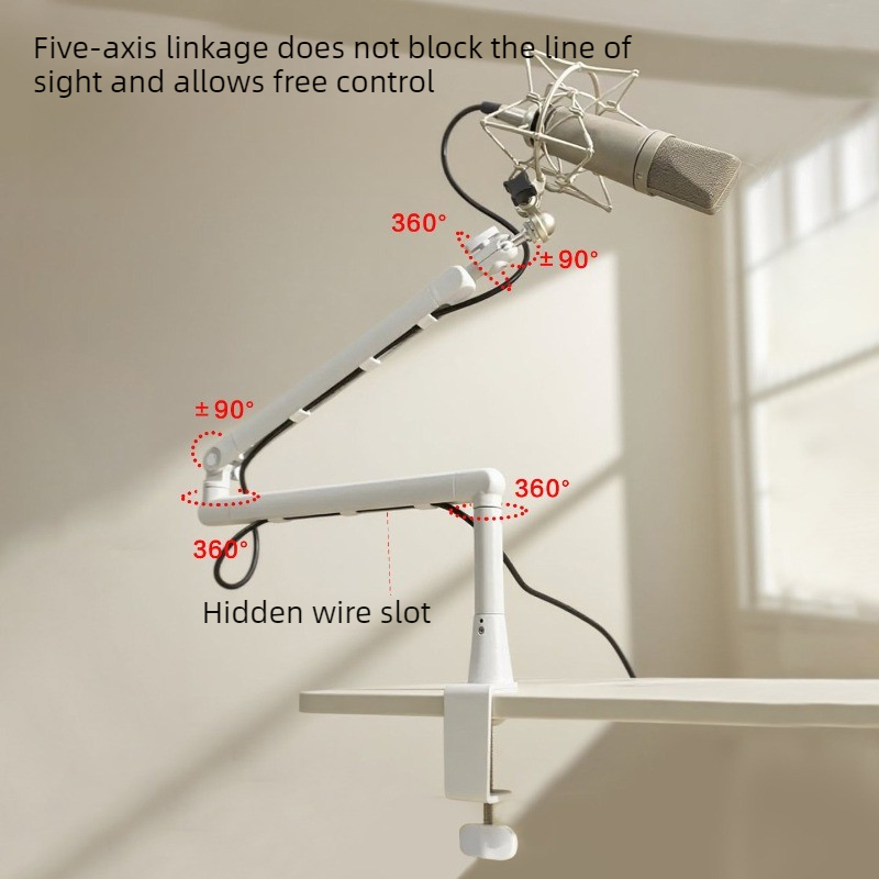 Boom Arm Microphone Stand Desk - Microphone Stand Boom Arm Floor 评论和价格