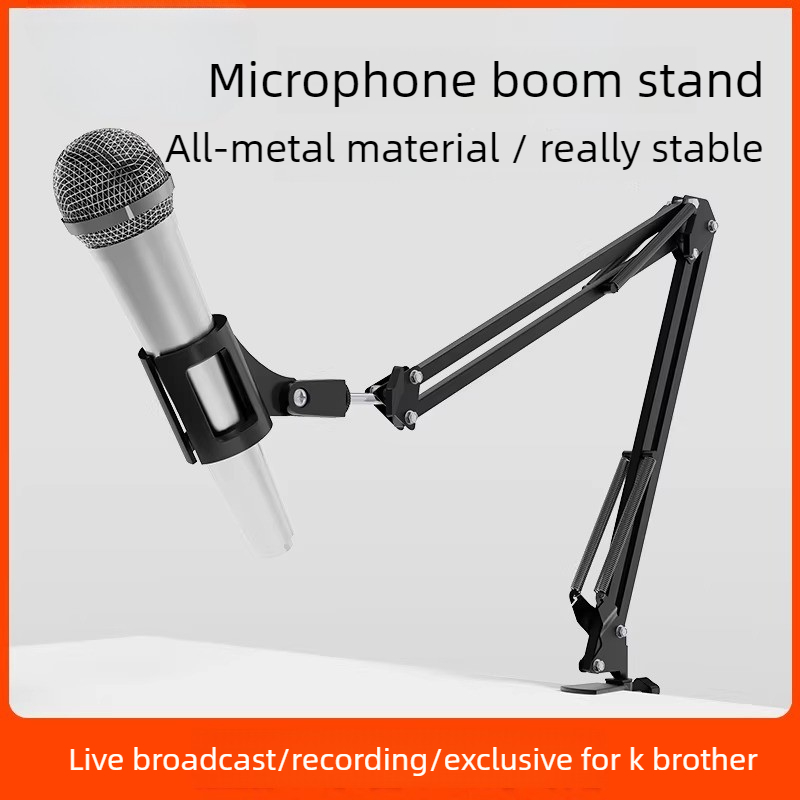 Desktop Microphone Stand Boom  - Microphone Stand Boom Arm Floor 评论和价格