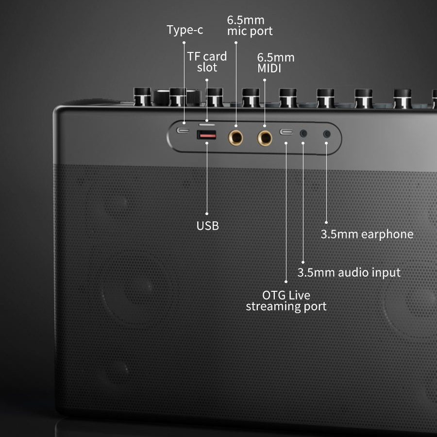 S1127 PLUS 300W Karaoke Machin - Karaoke Machine Portable With 2 Mic 评论和价格
