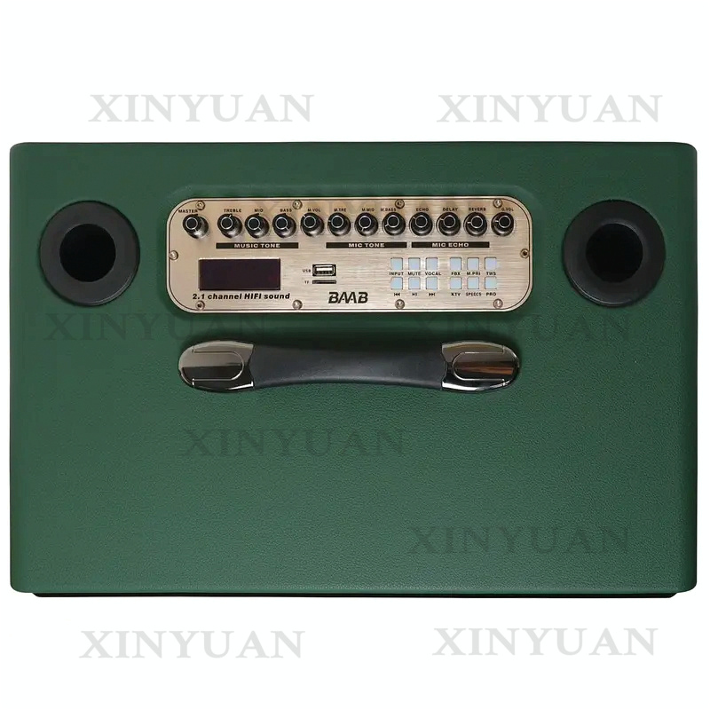 Karaoke Speaker, 8-Inch Wooden - Karaoke Speaker System 100W Rgb 评论和价格
