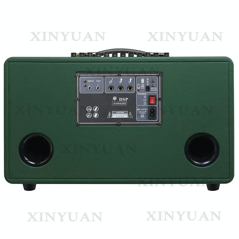 Karaoke Speaker, 8-Inch Wooden - Karaoke Speaker System 100W Rgb 评论和价格