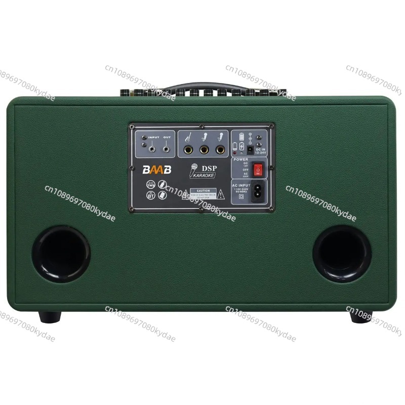 Professional 8-Inch HIFI Bass  - Karaoke Speaker System 100W Rgb 评论和价格