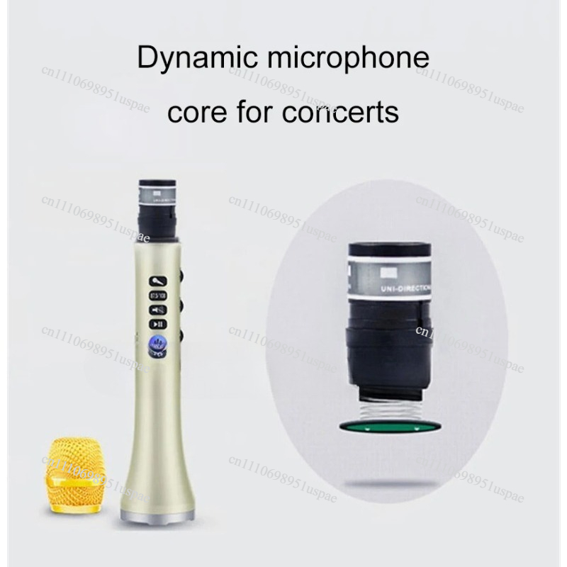 L-698DSP 20W Wireless Micropho - Bluetooth Karaoke Microphone Handheld 评论和价格