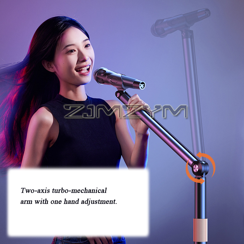 Microphone Stand Floor Live Br - Microphone Stand Boom Arm Floor 评论和价格