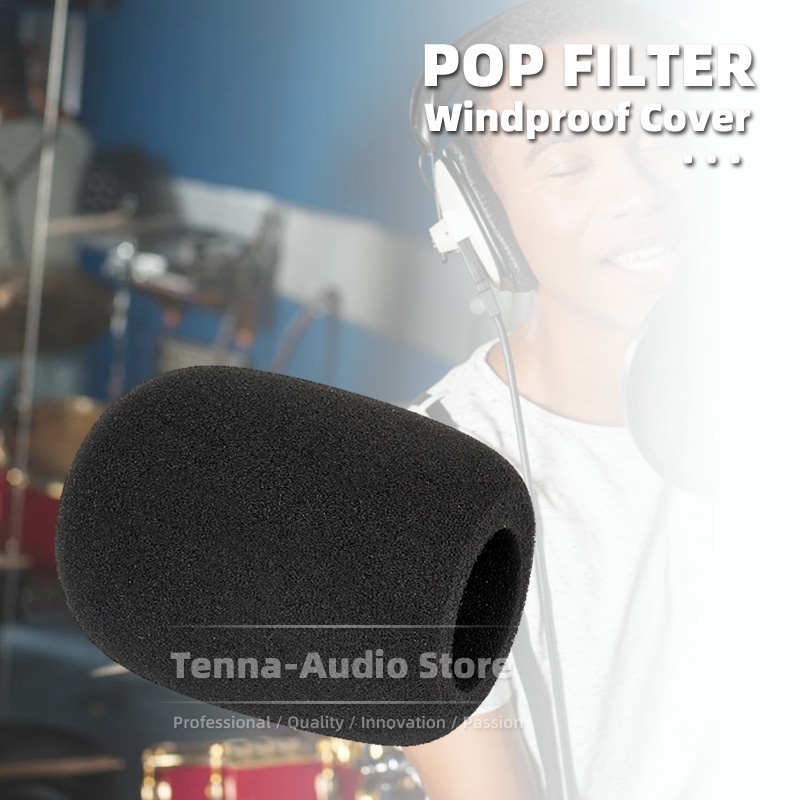 Windshield Foam Microphone Mic - Microphone Pop Filter Foam Windscreen 评论和价格