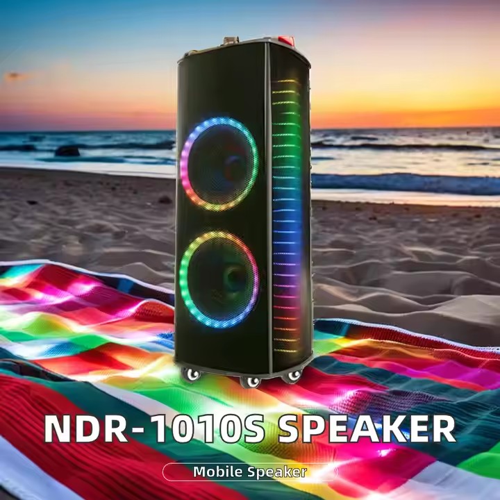 Ndr-1010S Home Theater System  - Karaoke Speaker System 100W Rgb 评论和价格
