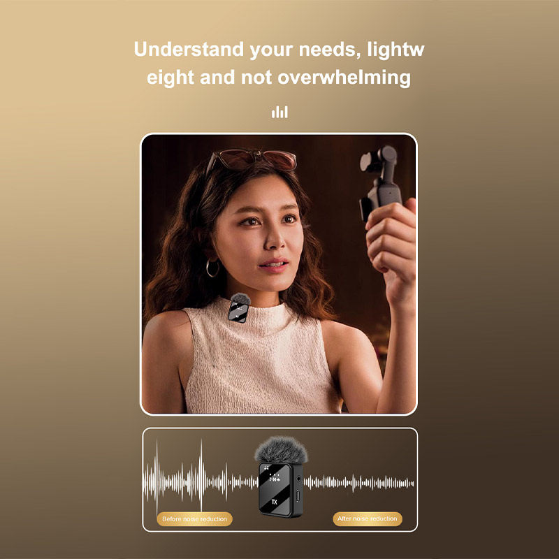 F15 3-in-1 Wireless Lavalier M - Wireless Lavalier Microphone Dual Receiver 评论和价格
