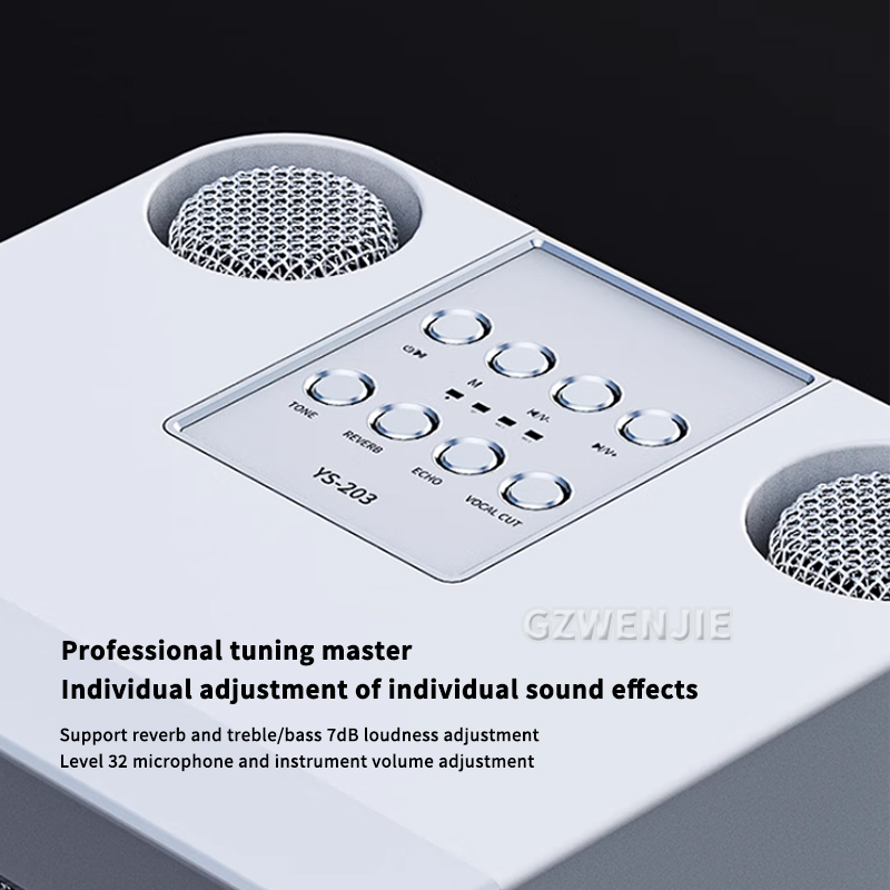 Portable Dual Microphone Karao - Karaoke Machine Portable With 2 Mic 评论和价格