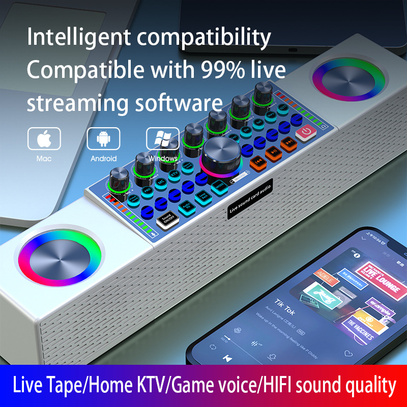 SY8 Live Broadcast Sound Card  - Karaoke Machine Portable With 2 Mic 评论和价格