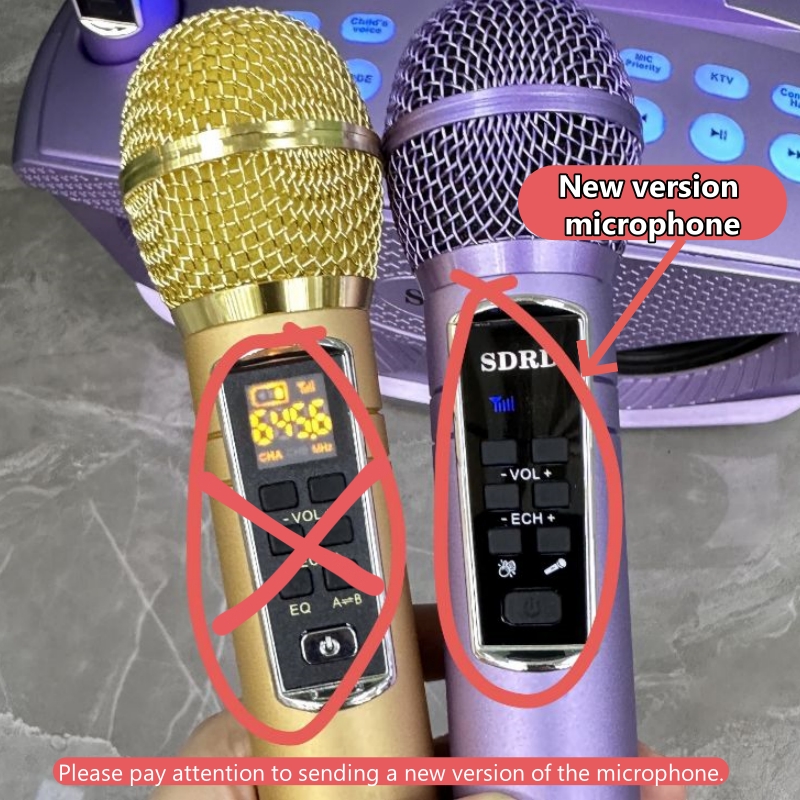 SD306Plus Professional Karaoke - Karaoke Machine Portable With 2 Mic 评论和价格