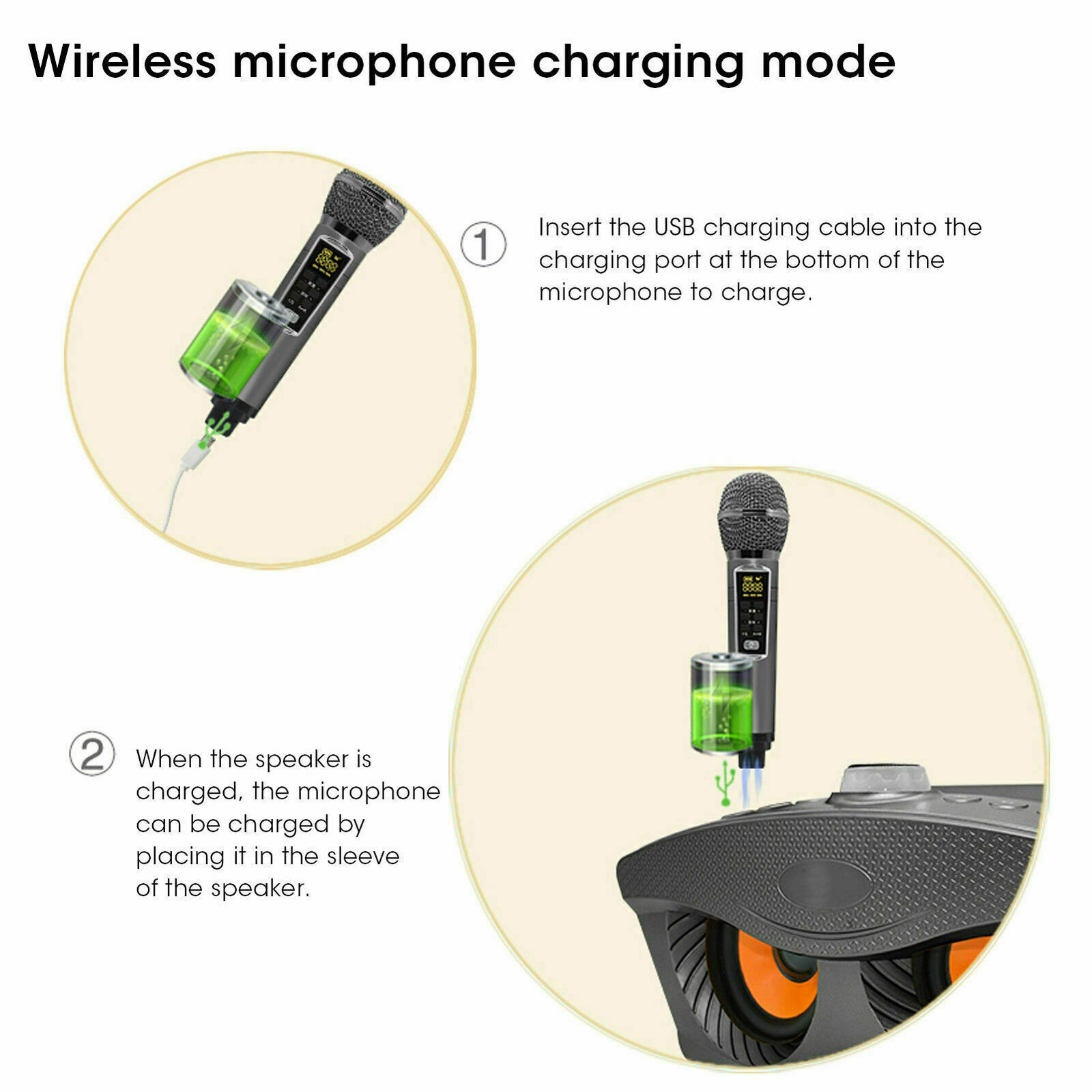 SD306Plus Professional Karaoke - Karaoke Machine Portable With 2 Mic 评论和价格