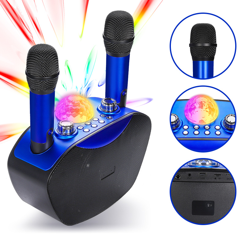 Mini Subwoofer Speaker Portabl - Bluetooth Karaoke Microphone Handheld 评论和价格