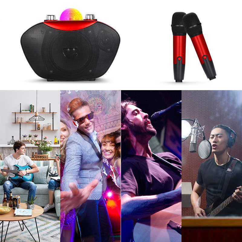 Mini Subwoofer Speaker Portabl - Bluetooth Karaoke Microphone Handheld 评论和价格