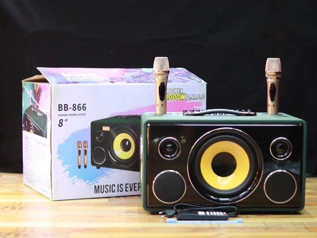 Professional 8-Inch HIFI Bass  - Karaoke Speaker System 100W Rgb 评论和价格