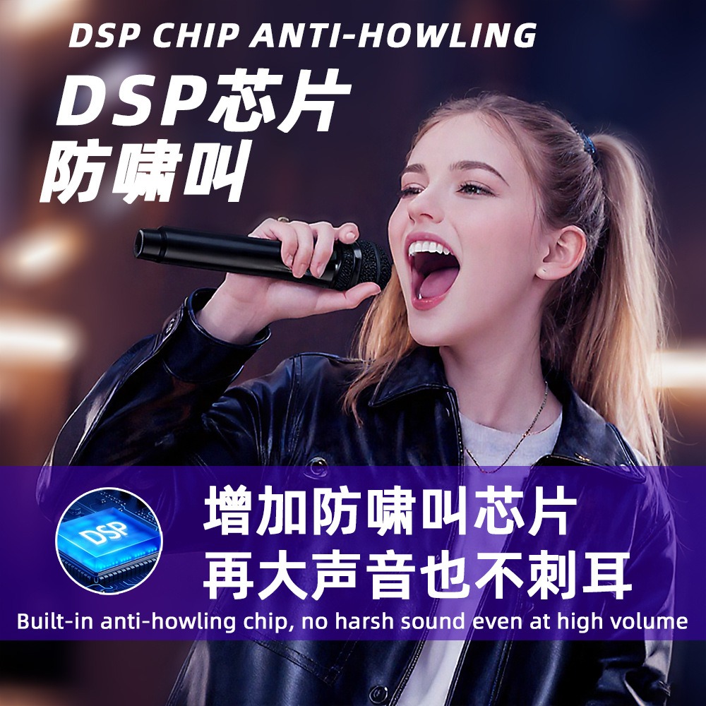 Universal with DSP anti-howlin - Bluetooth Karaoke Microphone Handheld 评论和价格