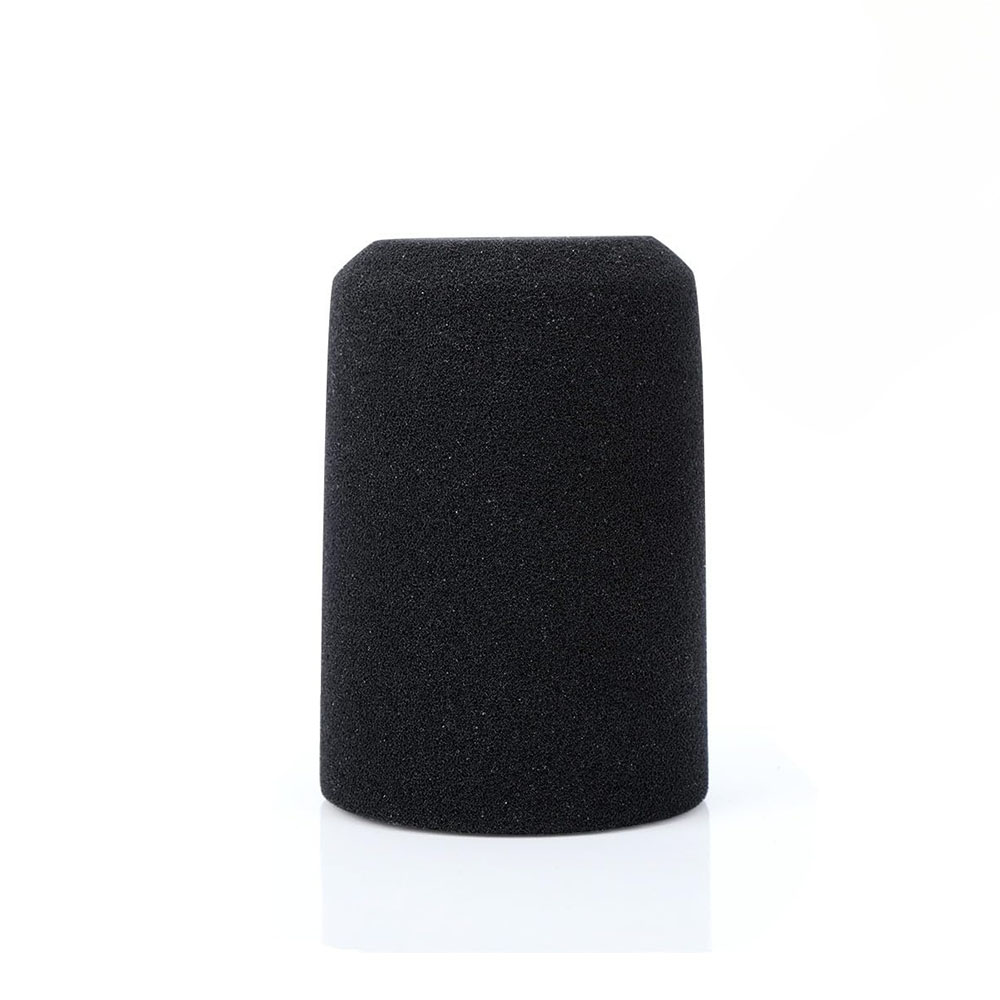 Microphone Pop Filter for FIFI - Microphone Pop Filter Foam Windscreen 评论和价格