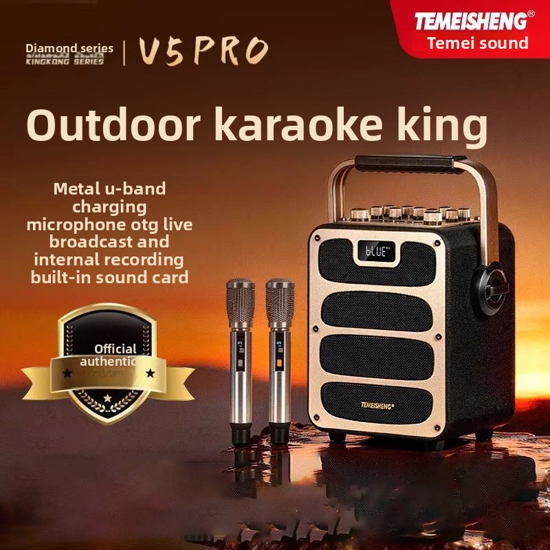 For TEMEISHENG V5Pro Bluetooth - Pa Sound System Battery Portable Outdoor 评论和价格