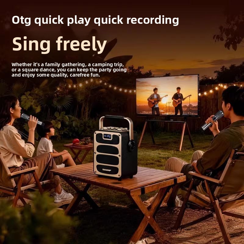 For TEMEISHENG V5Pro Bluetooth - Pa Sound System Battery Portable Outdoor 评论和价格