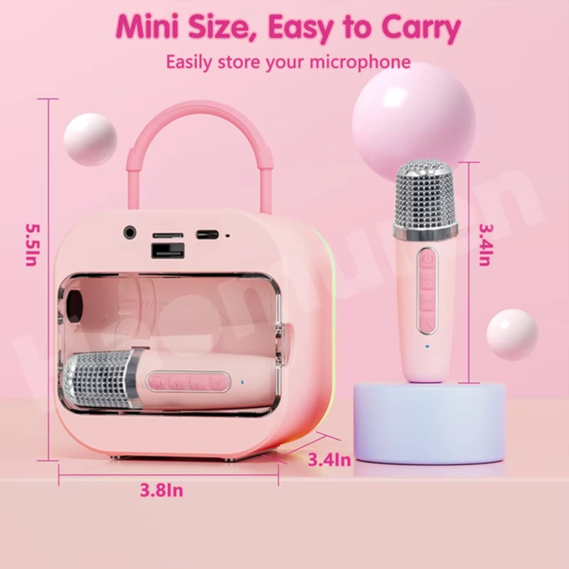 LZQLY Mini Karaoke Machine for - Karaoke Machine Portable With 2 Mic 评论和价格