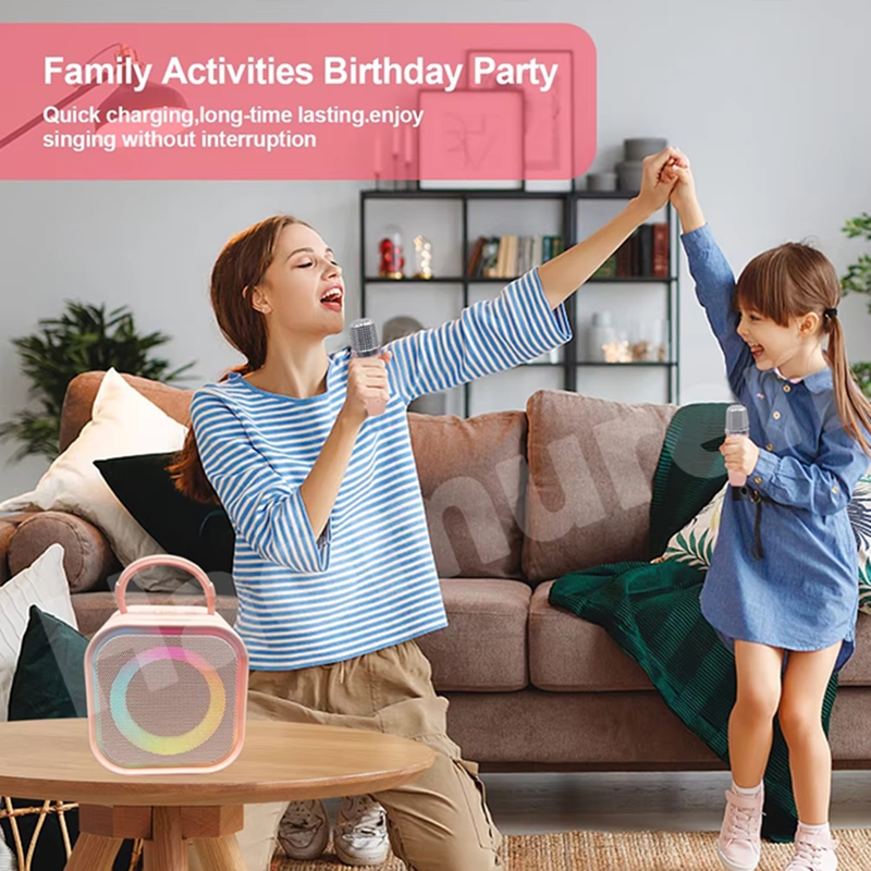 LZQLY Mini Karaoke Machine for - Karaoke Machine Portable With 2 Mic 评论和价格