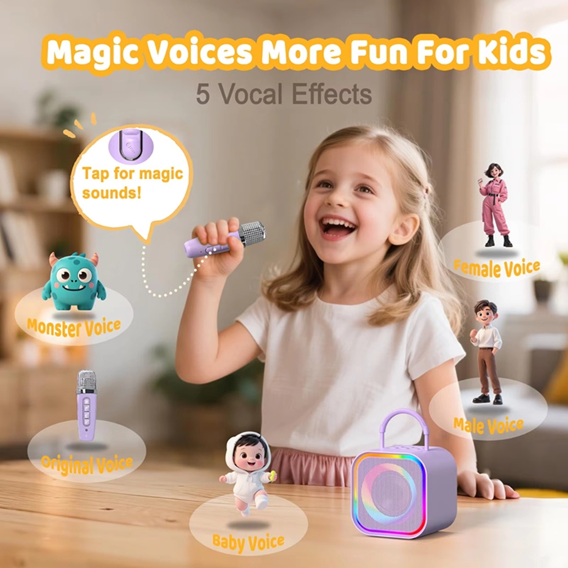 LZQLY Mini Karaoke Machine for - Karaoke Machine Portable With 2 Mic 评论和价格