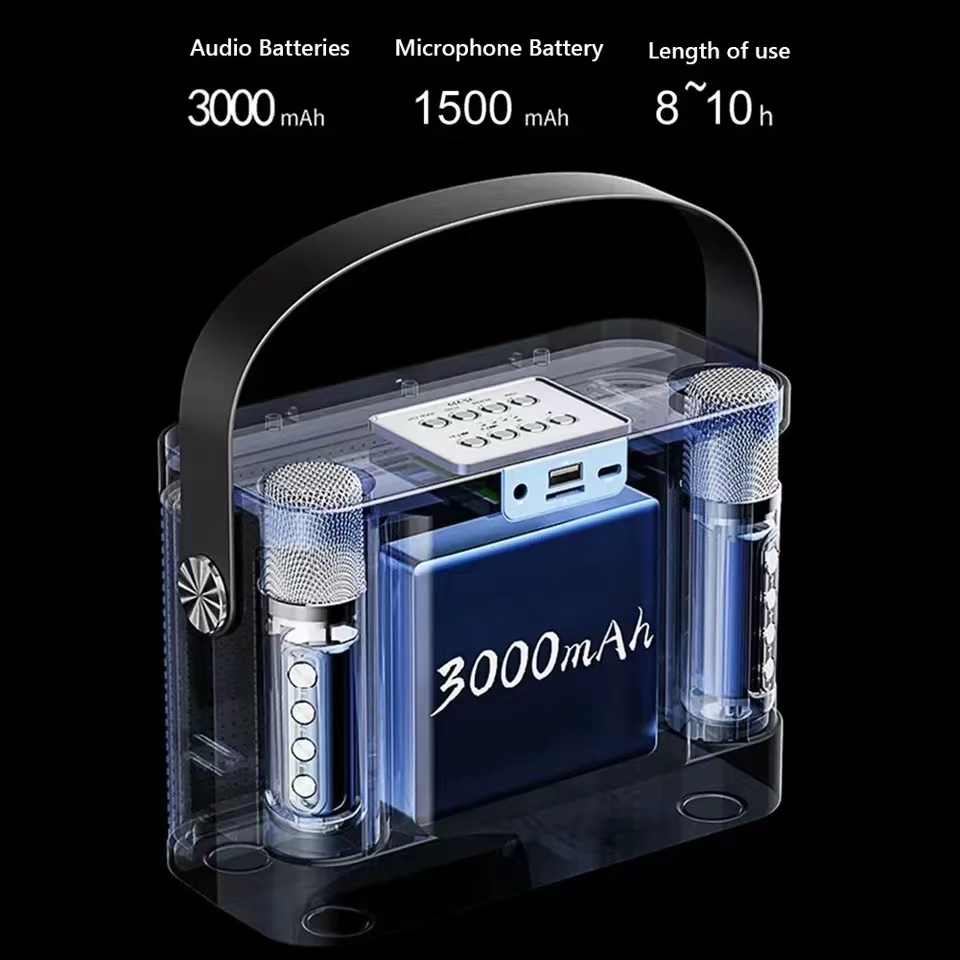 Powerful Bluetooth Speaker Wit - Karaoke Machine Portable With 2 Mic 评论和价格