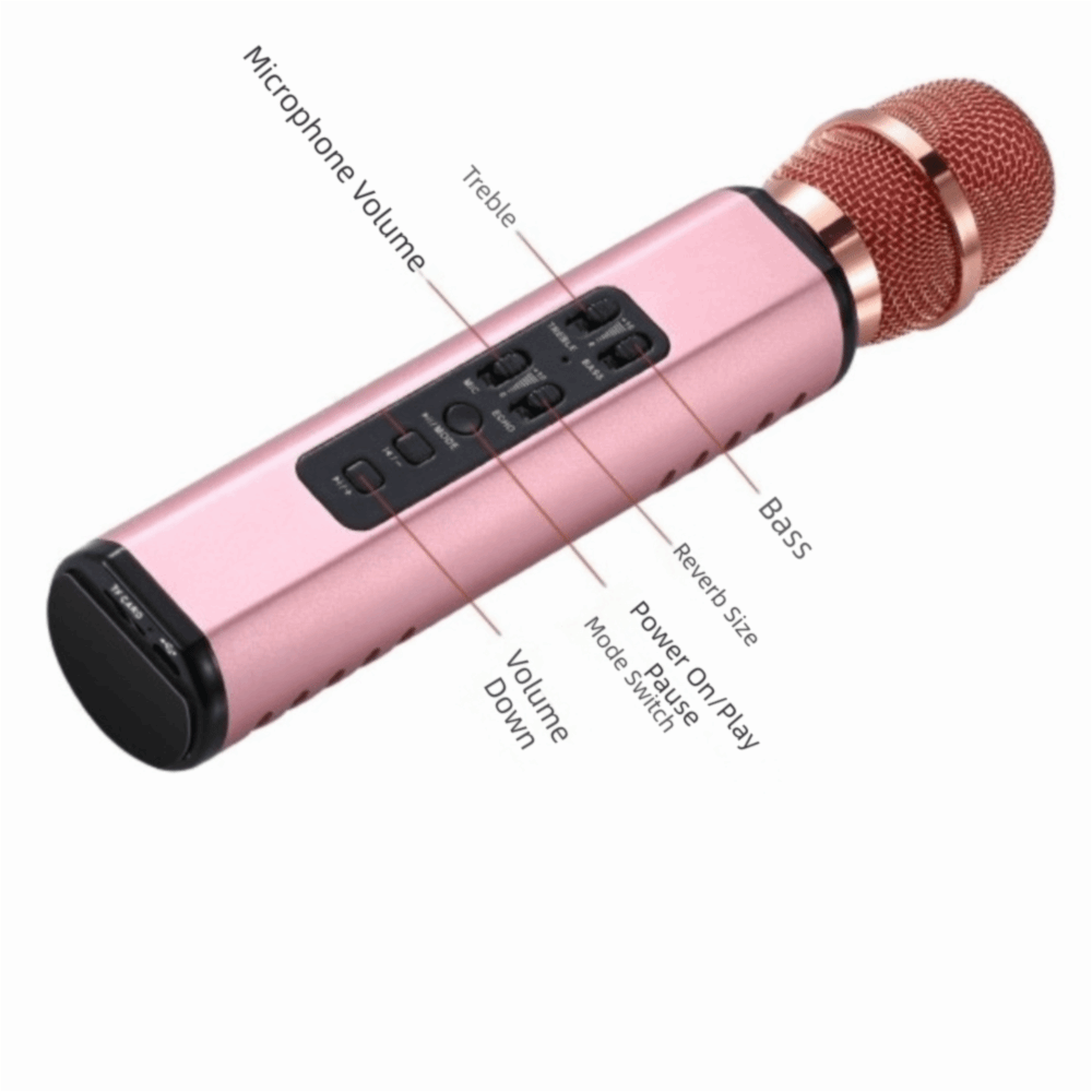 Portable Karaoke Microphone Pr - Bluetooth Karaoke Microphone Handheld 评论和价格