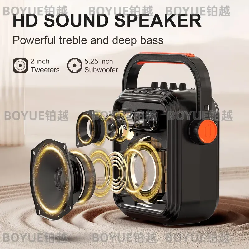 Portable Karaoke Machine with  - Karaoke Machine Portable With 2 Mic 评论和价格